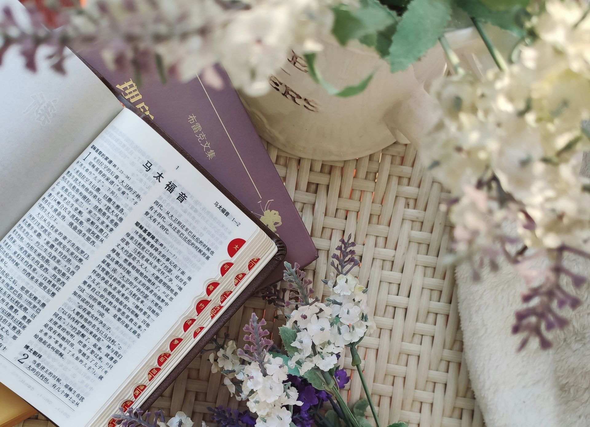 Đoạn văn ngắn Tiếng trung có Pinyin